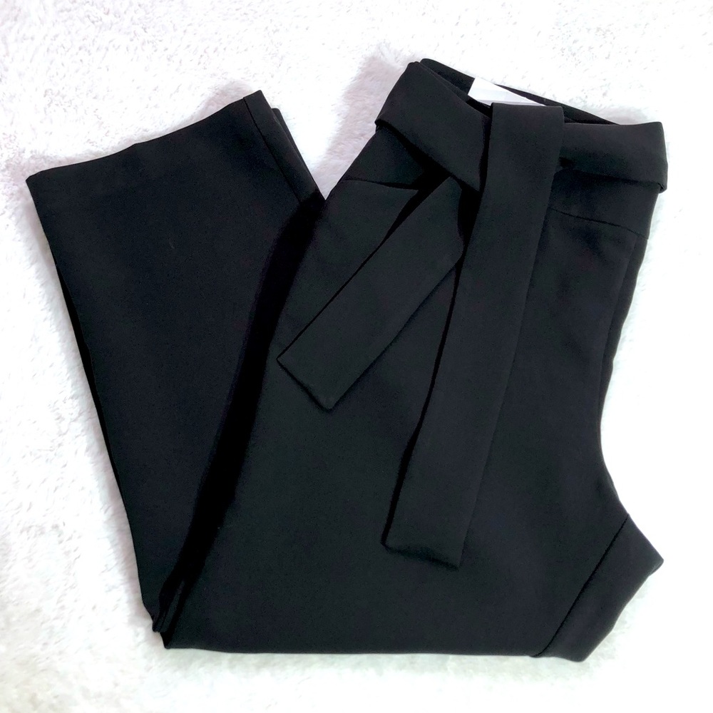 Ann Taylor Plus Size Tie- Waist Pant